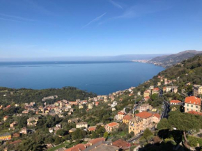 Top Hill Genoa Camogli